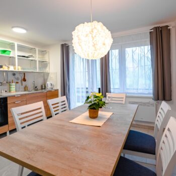 apartma-na-hribu-kuhinja-jedilnica